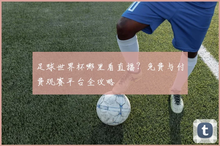 足球世界杯哪里看直播？免费与付费观赛平台全攻略