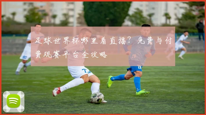 足球世界杯哪里看直播?免费与付费观赛平台全攻略